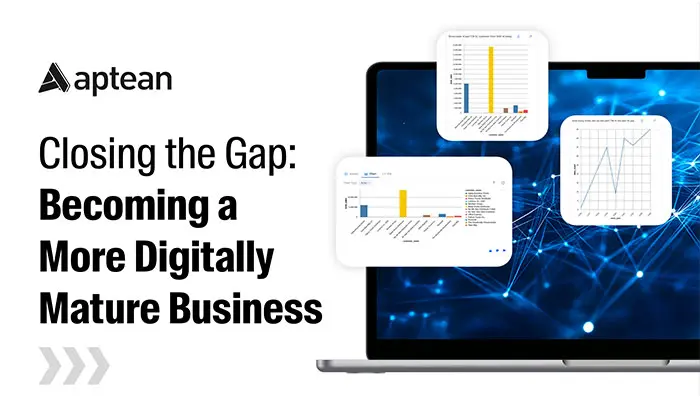 Closing the Gap Becoming A More Mature Business