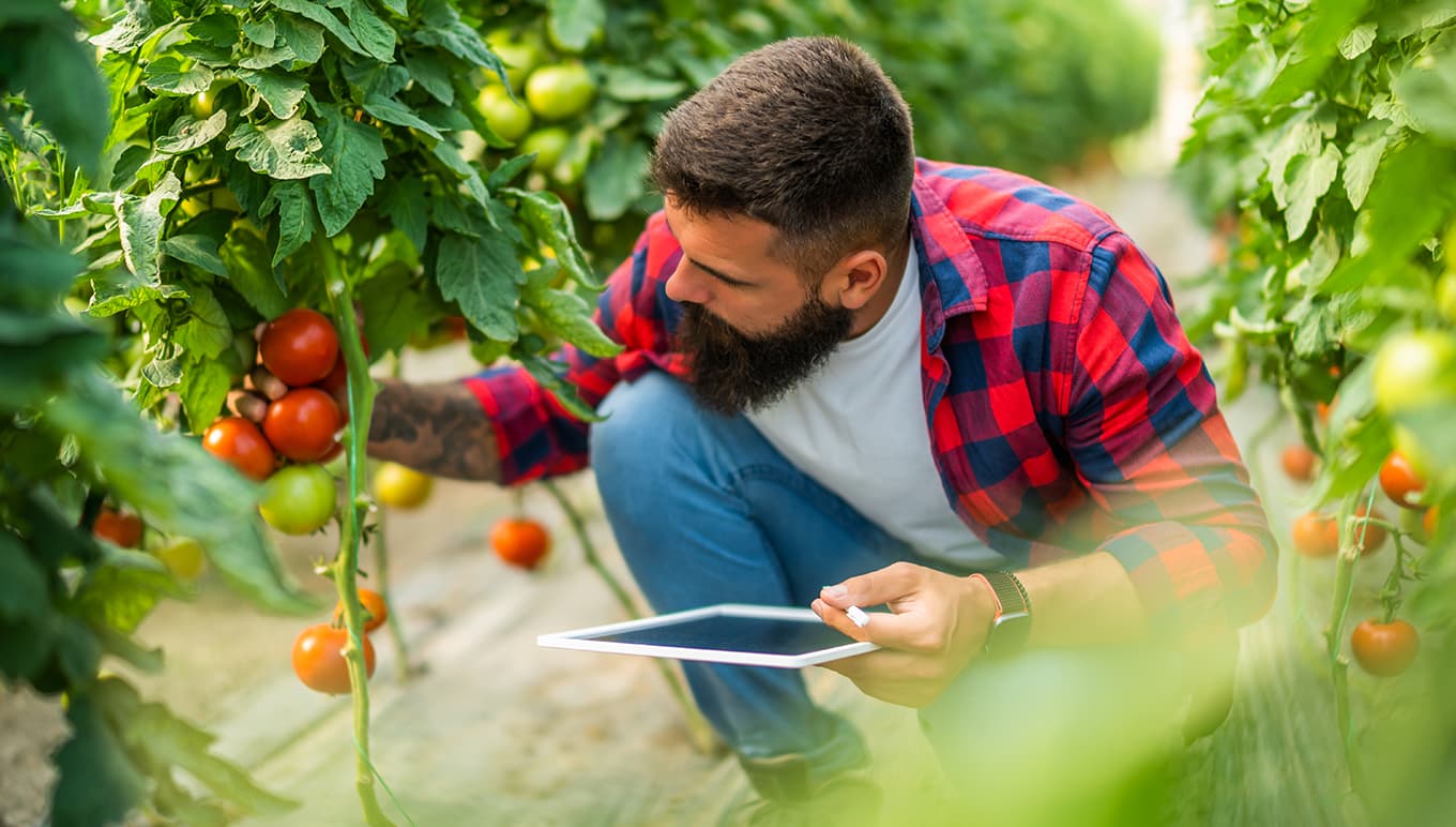 How Belair Produce Improved Inventory Accuracy and Operational Visibility With Produce Pro Software from Aptean