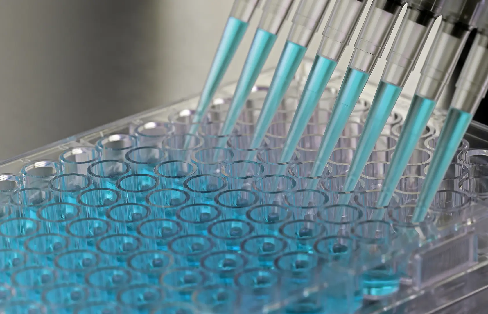 Pharmaceutical industry equipment used for medicine manufacturing