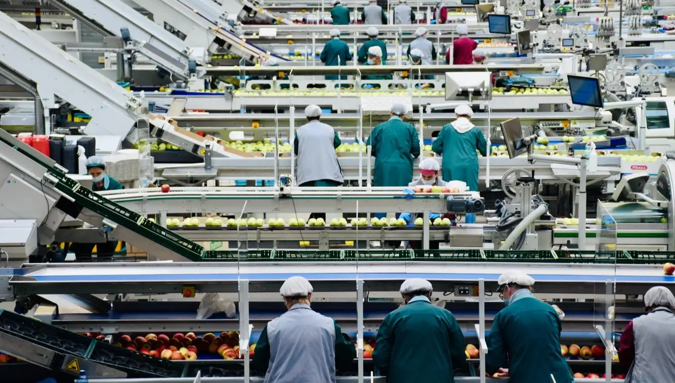 4 Reasons to Modernize Your Business with Purpose-Built Software for the Food Industry