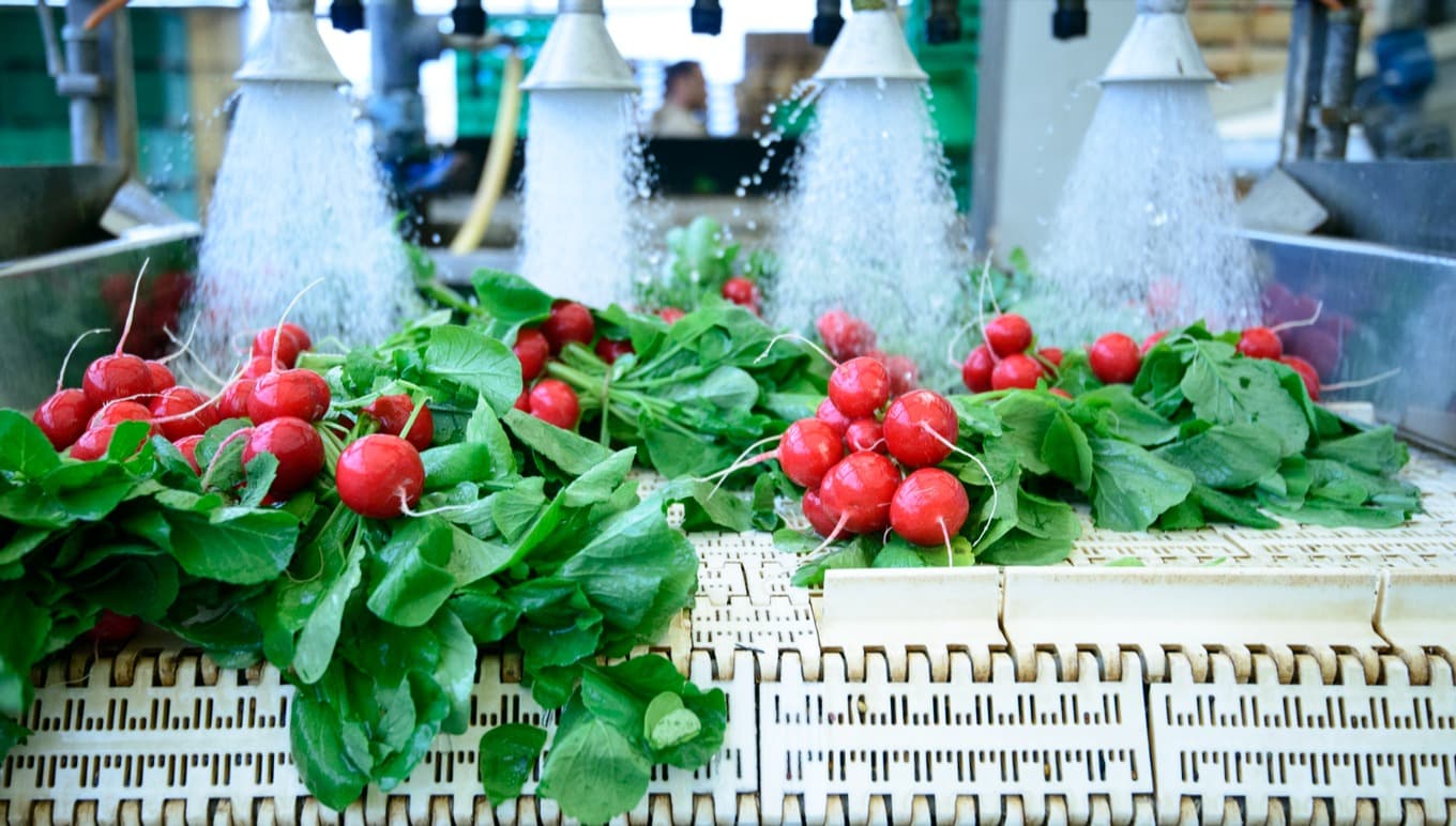 Facilitating Fresh Food Inventory Management with ERP Solutions
