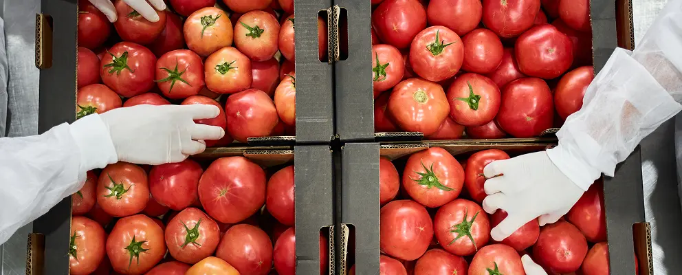 Fresh Produce and Farming