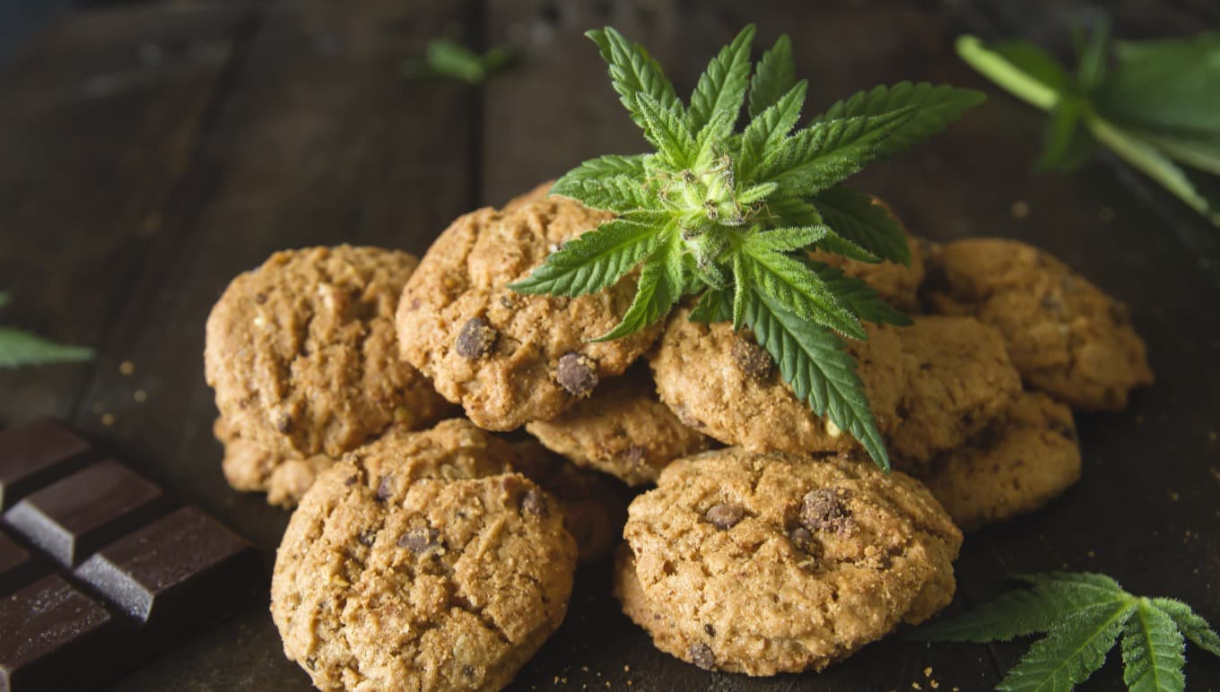 CBD Product Diversity is Creating Scale-Up Opportunities for Cannabis Manufacturers