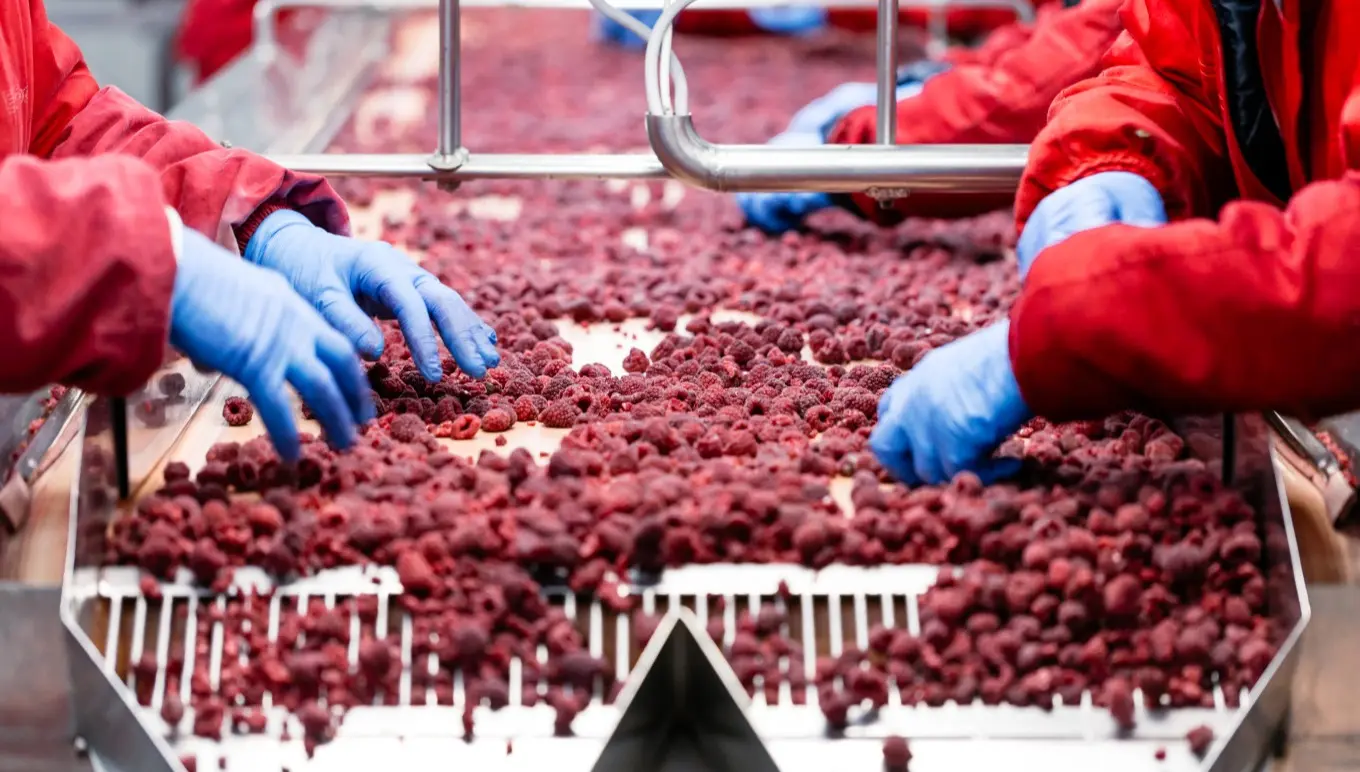 Forging a More Resilient Fresh Produce Supply Chain with Food ERP Solutions