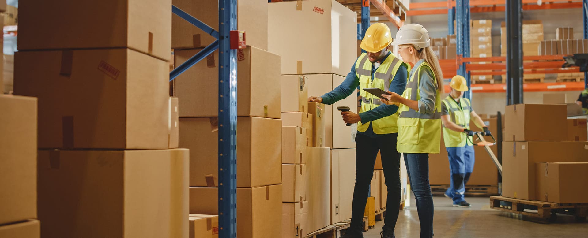 Connect, Automate and Optimize With AppCentral