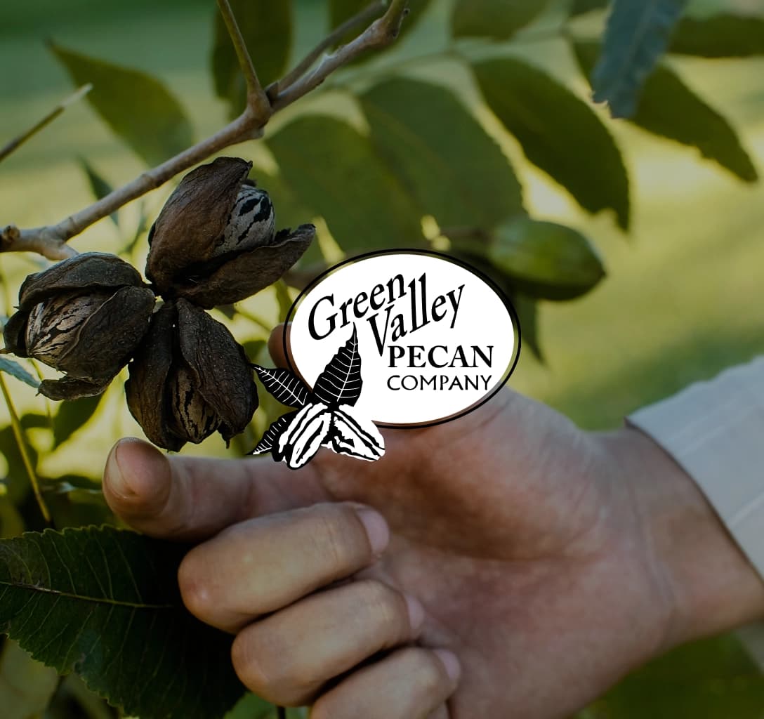 The Green Valley Pecan logo, set against a background of a hand touching a leaf.