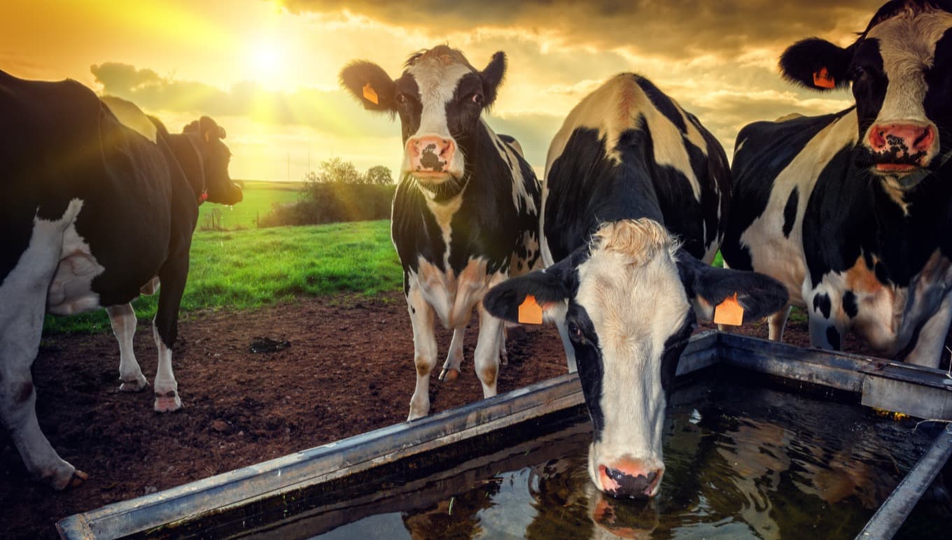 Aptean’s Food and Beverage 2021 Global Symposium – Key Dairy Developments and How U.S. Businesses Are Innovating Session Recap