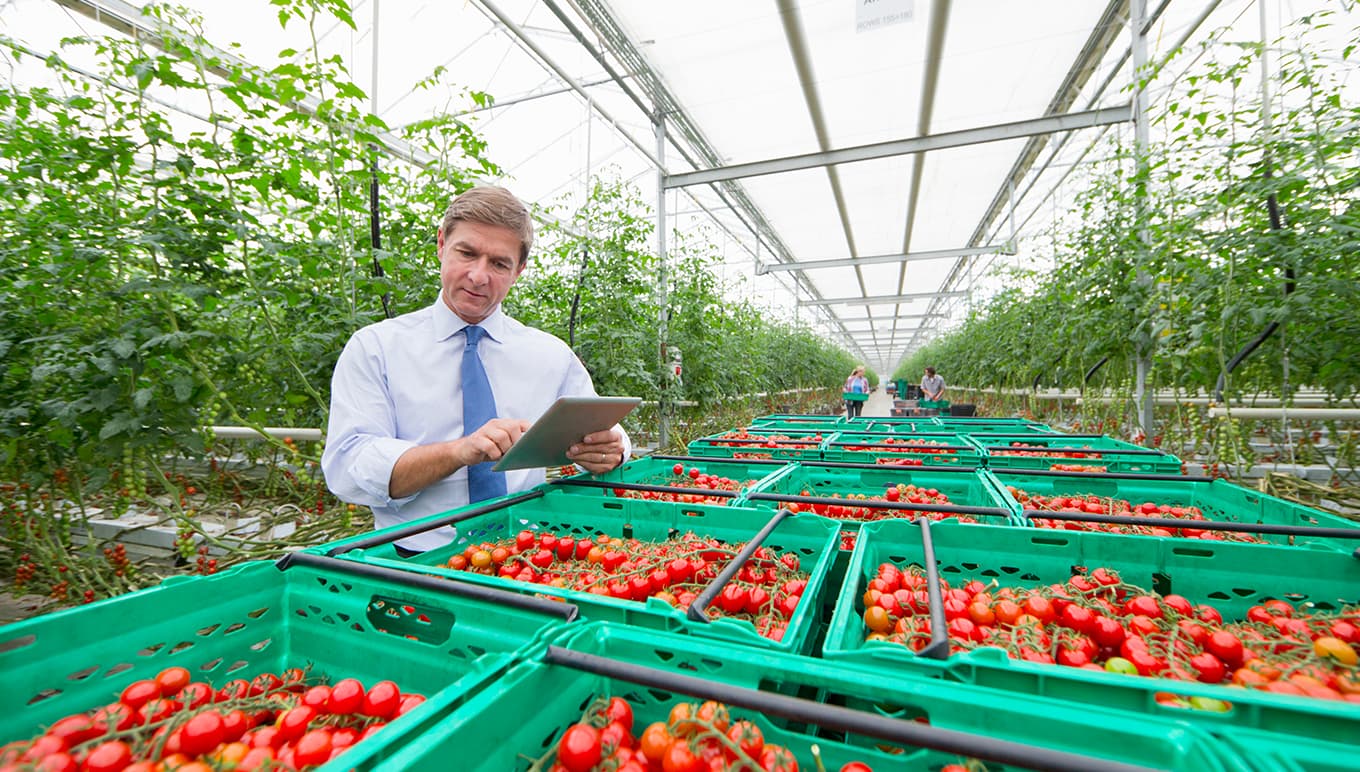 Belair Produce Improved Inventory Technology