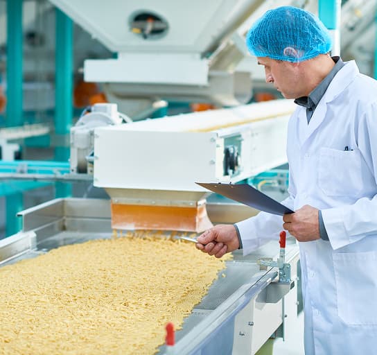 Senior factory worker doing production quality inspection in food industry beside a conveyor belt