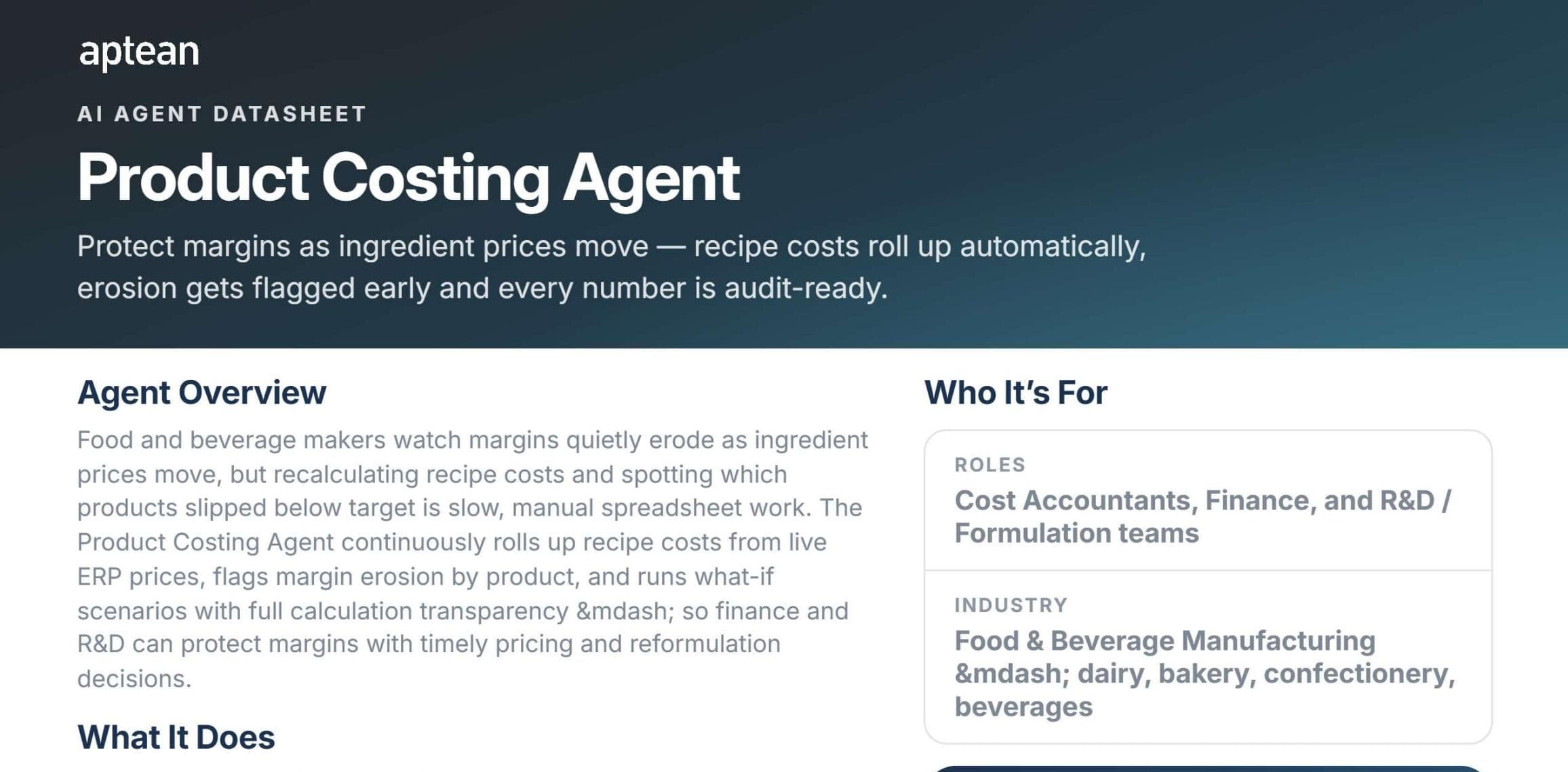 Product Costing Agent
