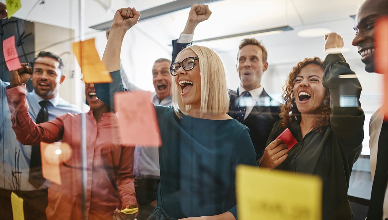 The ERP Journey: Ensuring a Successful Implementation from Selection to Go Live