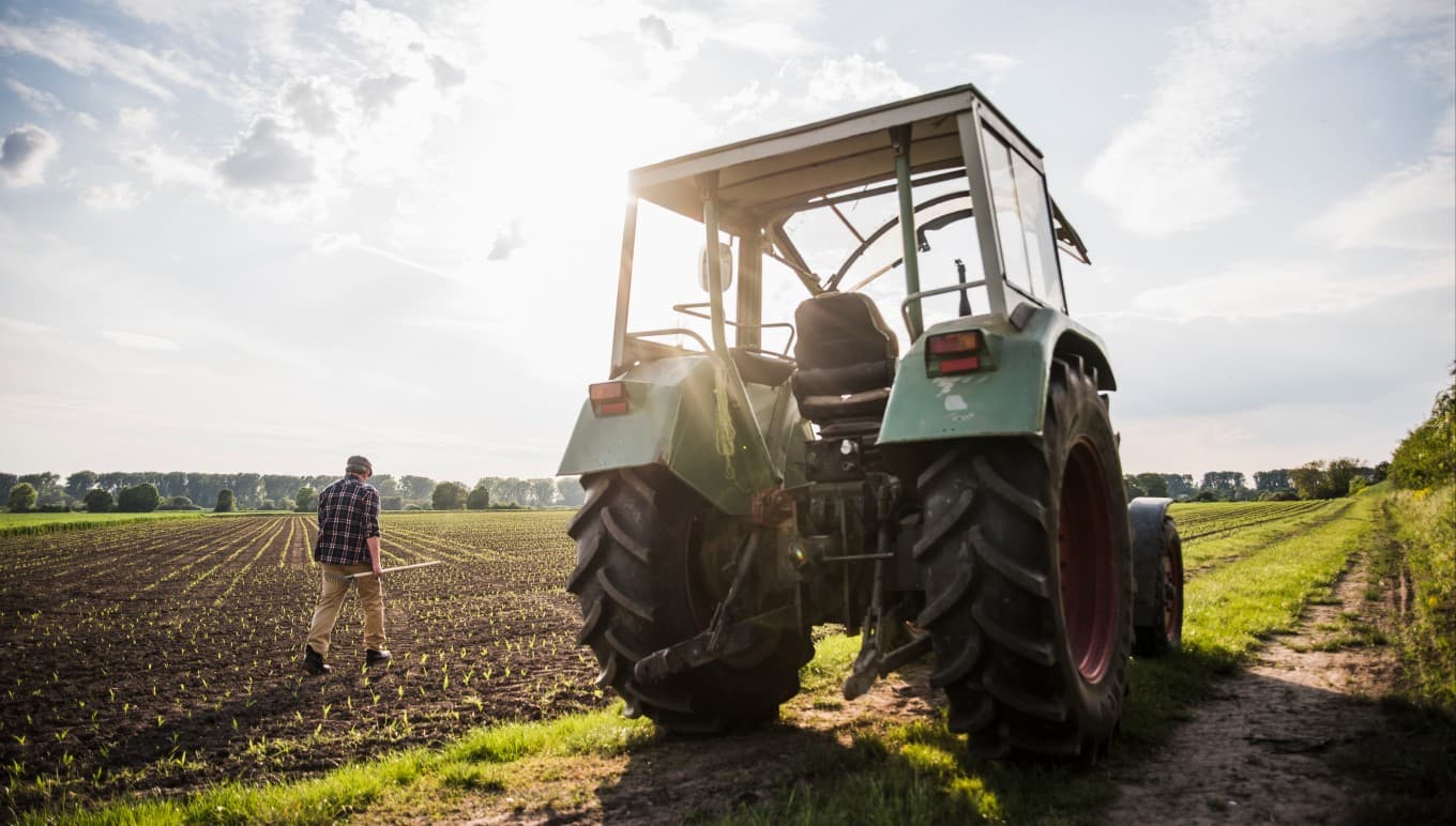 Vooruitgang boeken met nieuwe mogelijkheden: ERP stelt voedsel- en drankenbedrijven in staat om plantaardige producten te lanceren