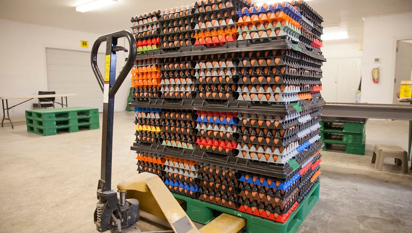 card-disruption-in-food-industry