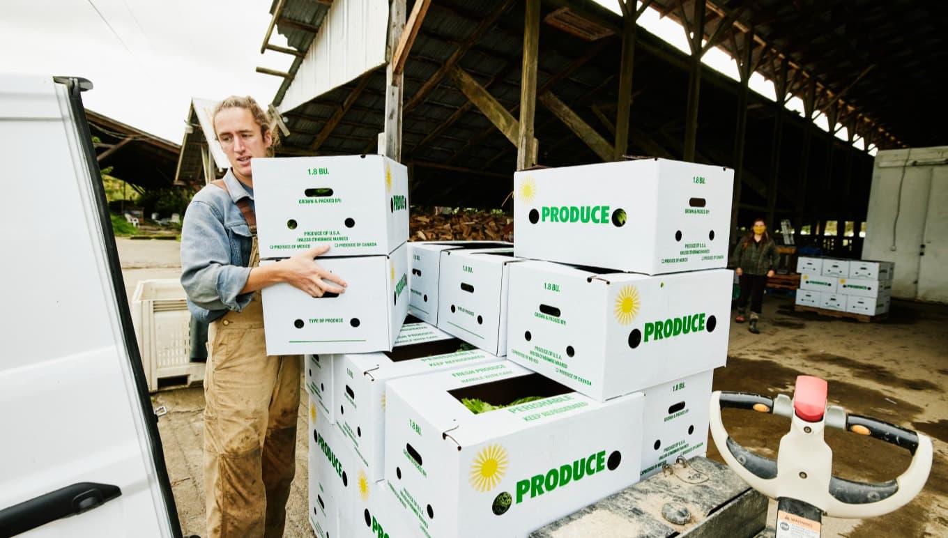 Succeeding in Food Supply Chain Management with Specialised Solutions