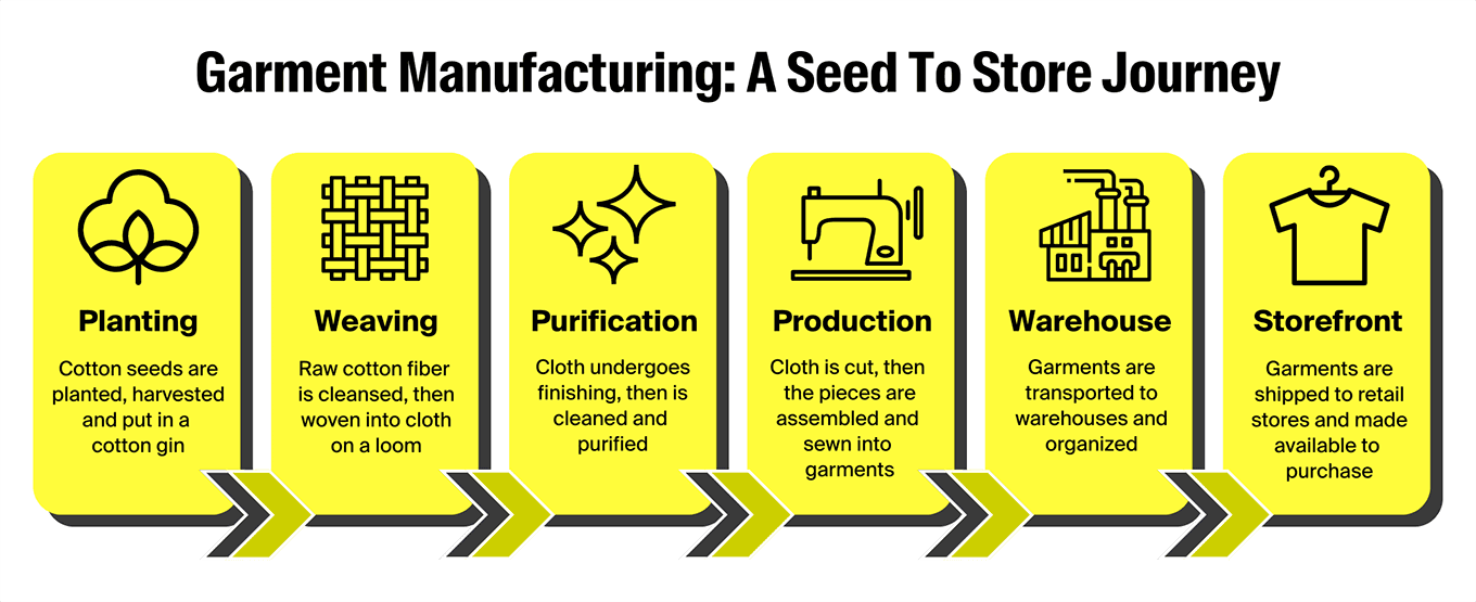 card-from-seed-to-store-roadmap-infographic