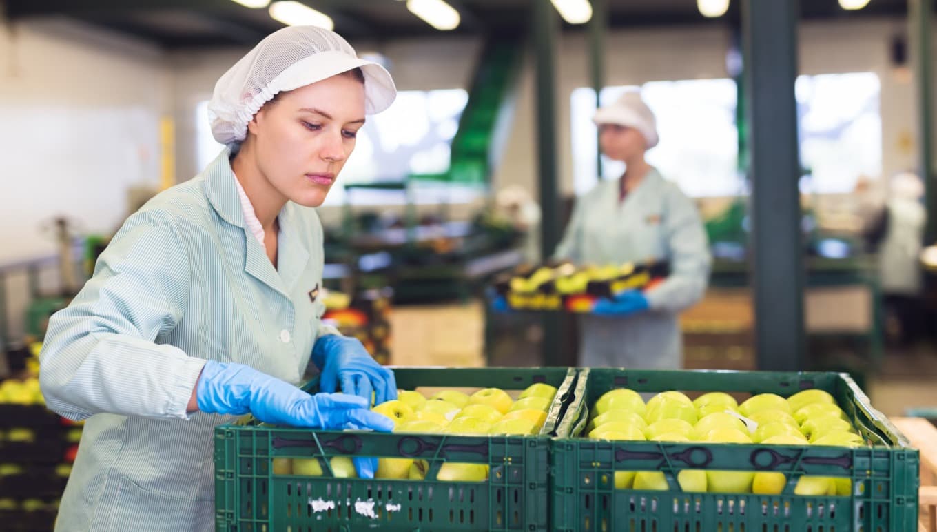 How the Streamlined Workflows and Status Visibility of Food ERP Software Boost Operational Efficiency