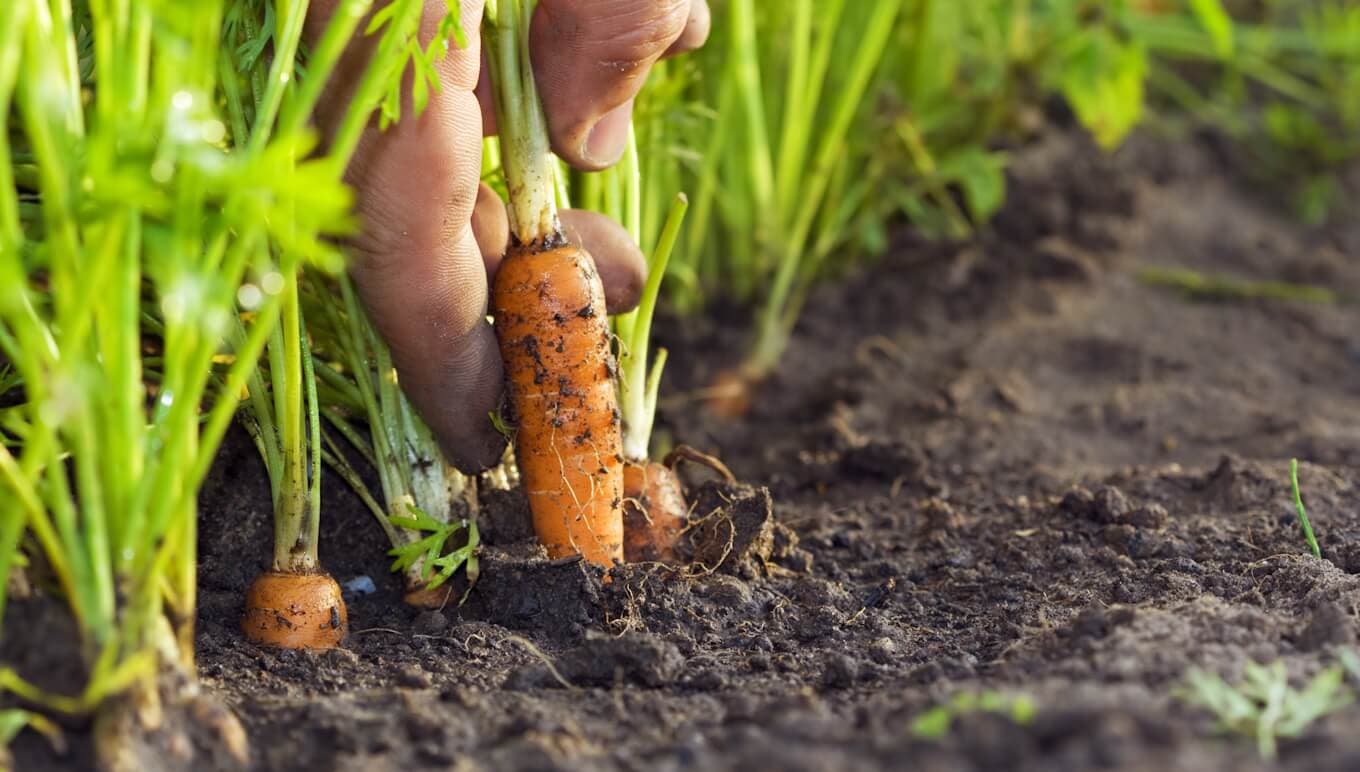 Supporting a Circular Economy in the Food and Beverage Industry