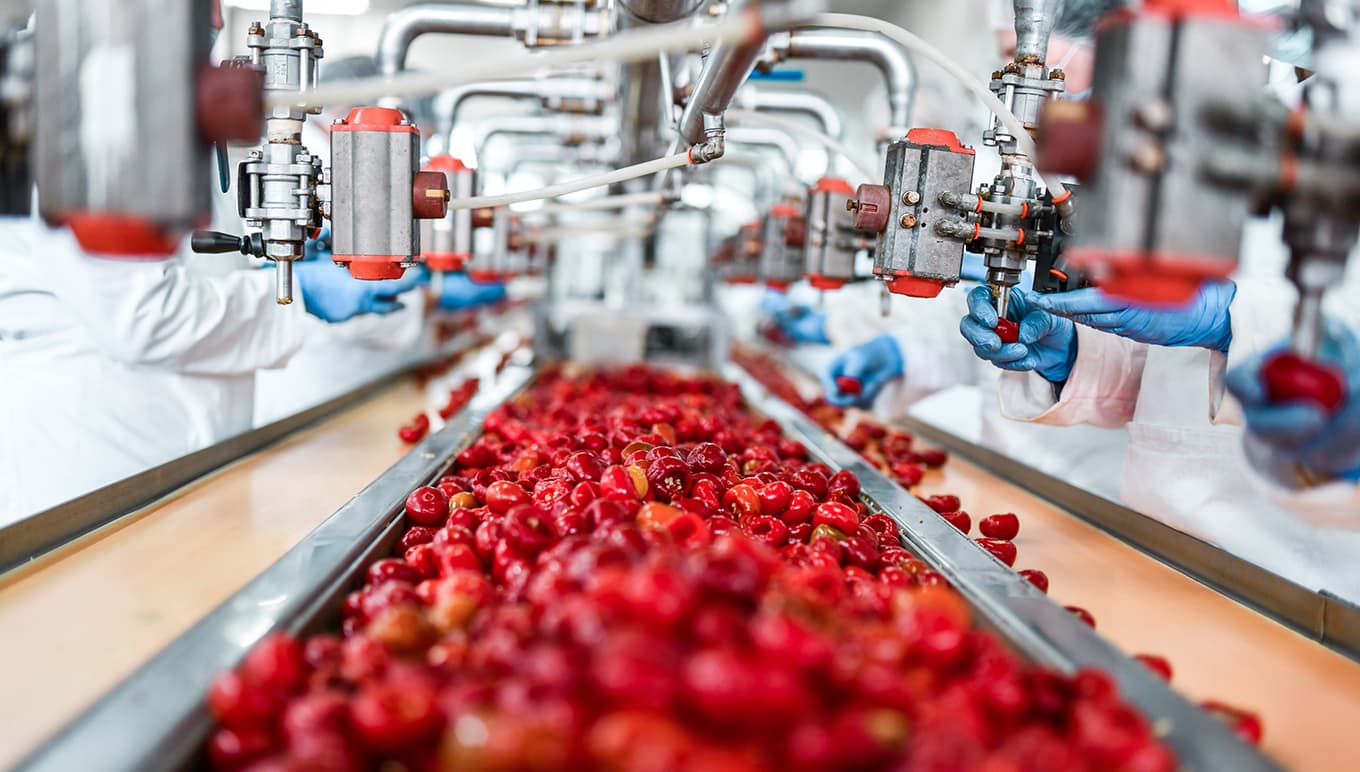 AI en digitalisering als drijvende kracht in de voedselindustrie