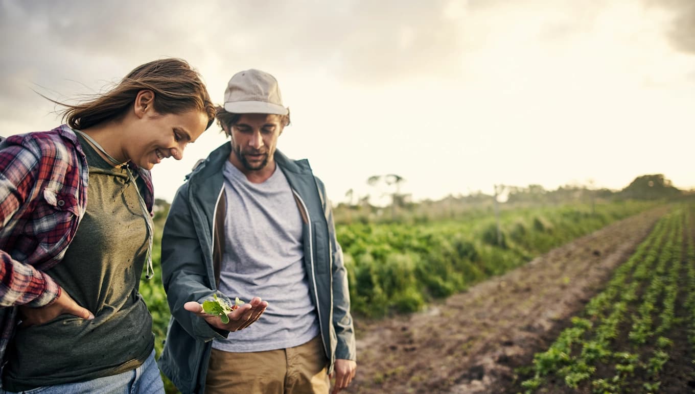 card-produce-industry-roundup