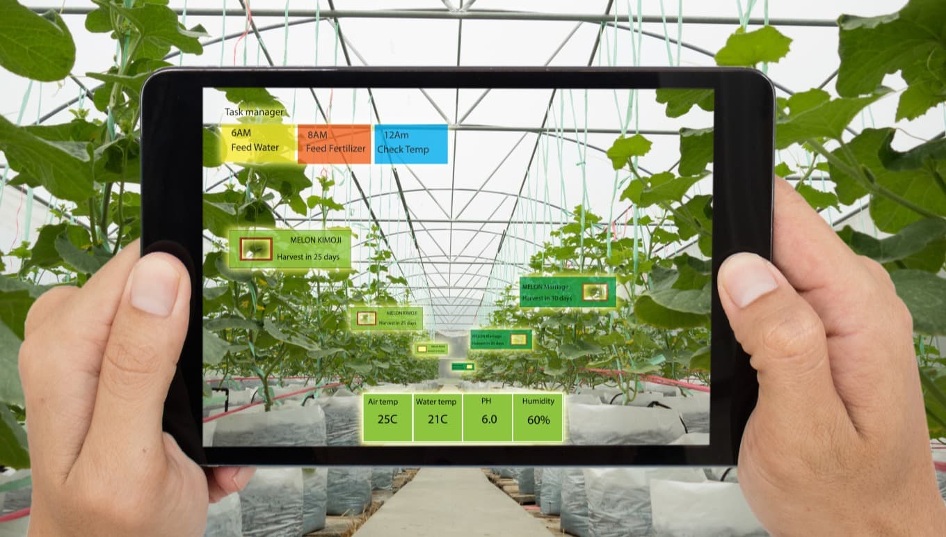 4 Emergent Technologies in Fresh Produce and How an Industry-Specific Food ERP Facilitates Their Use