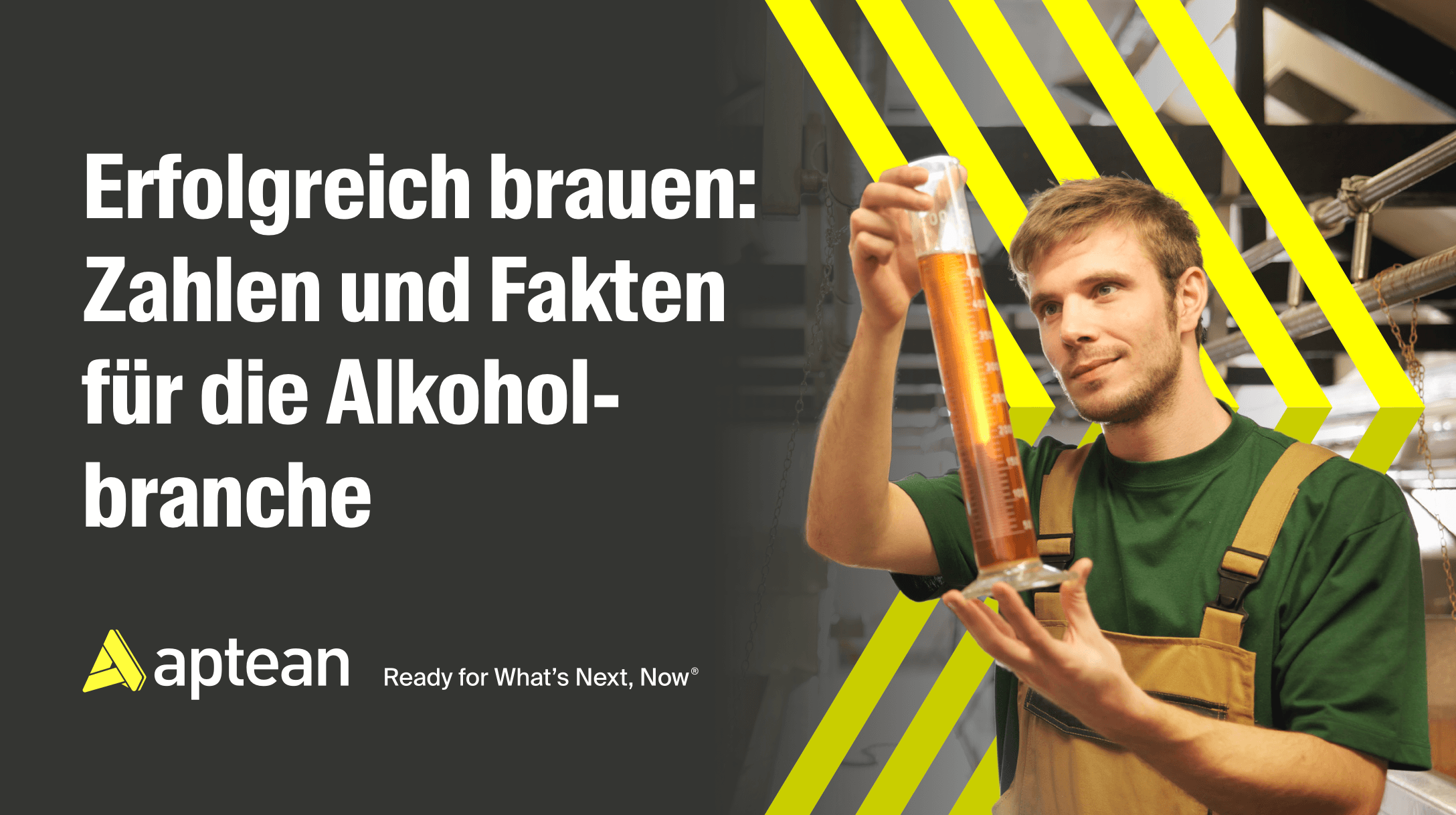 Brewing Success: Alcoholic Beverages Industry Insights