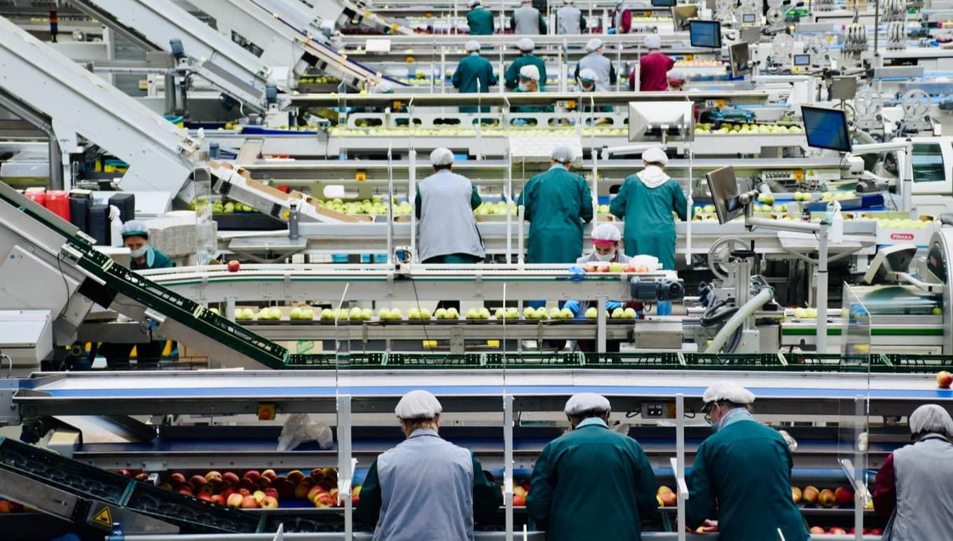 4 Reasons to Modernize Your Business with Purpose-Built Software for the Food Industry