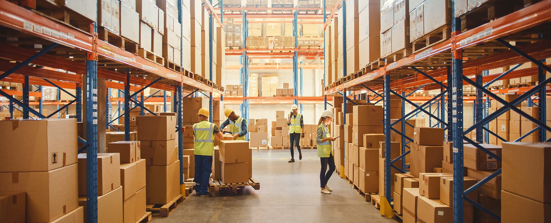 Eliminate Inefficiencies With Purpose-Built ERP
