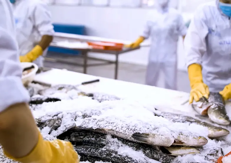 Connect Your Frozen and Prepared Packaged Food Systems With AppCentral