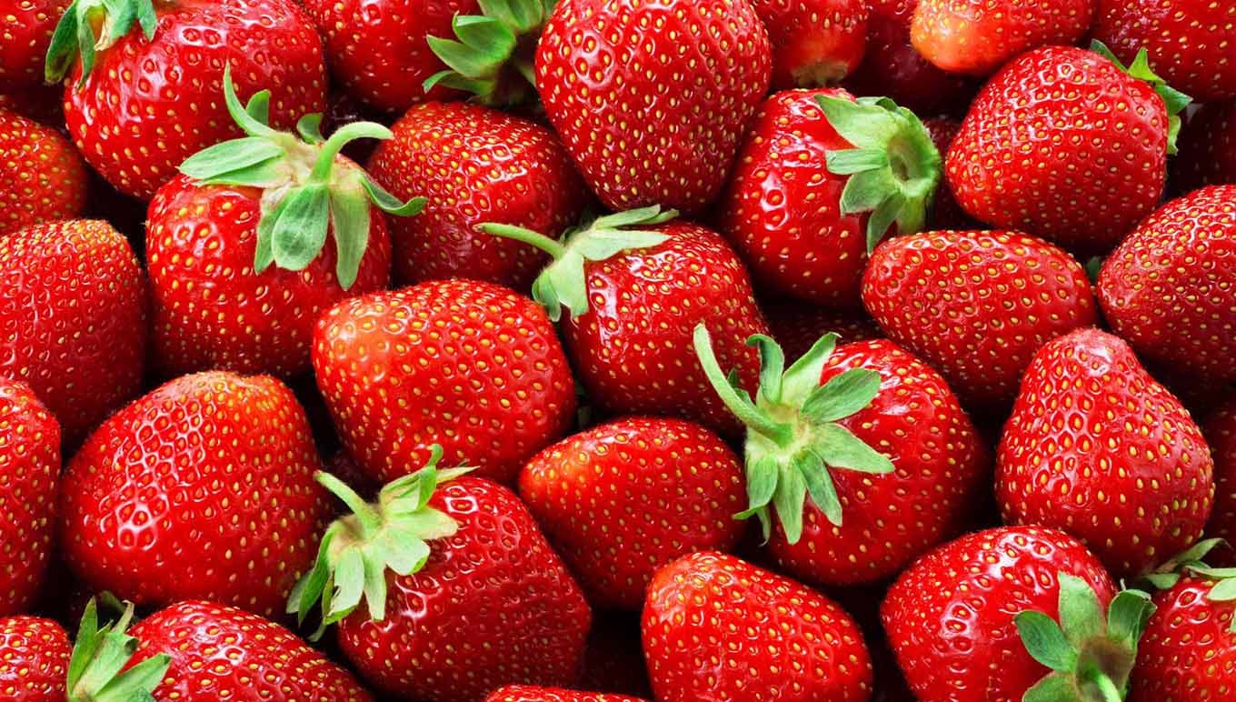 Webinar: De voortgang en bloei van Fruitful-Berries: van voor tot na de ERP implementatie
