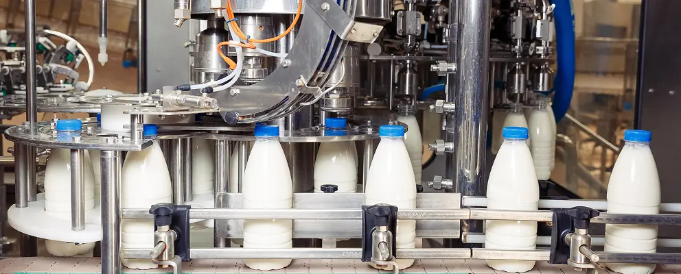 Dairy