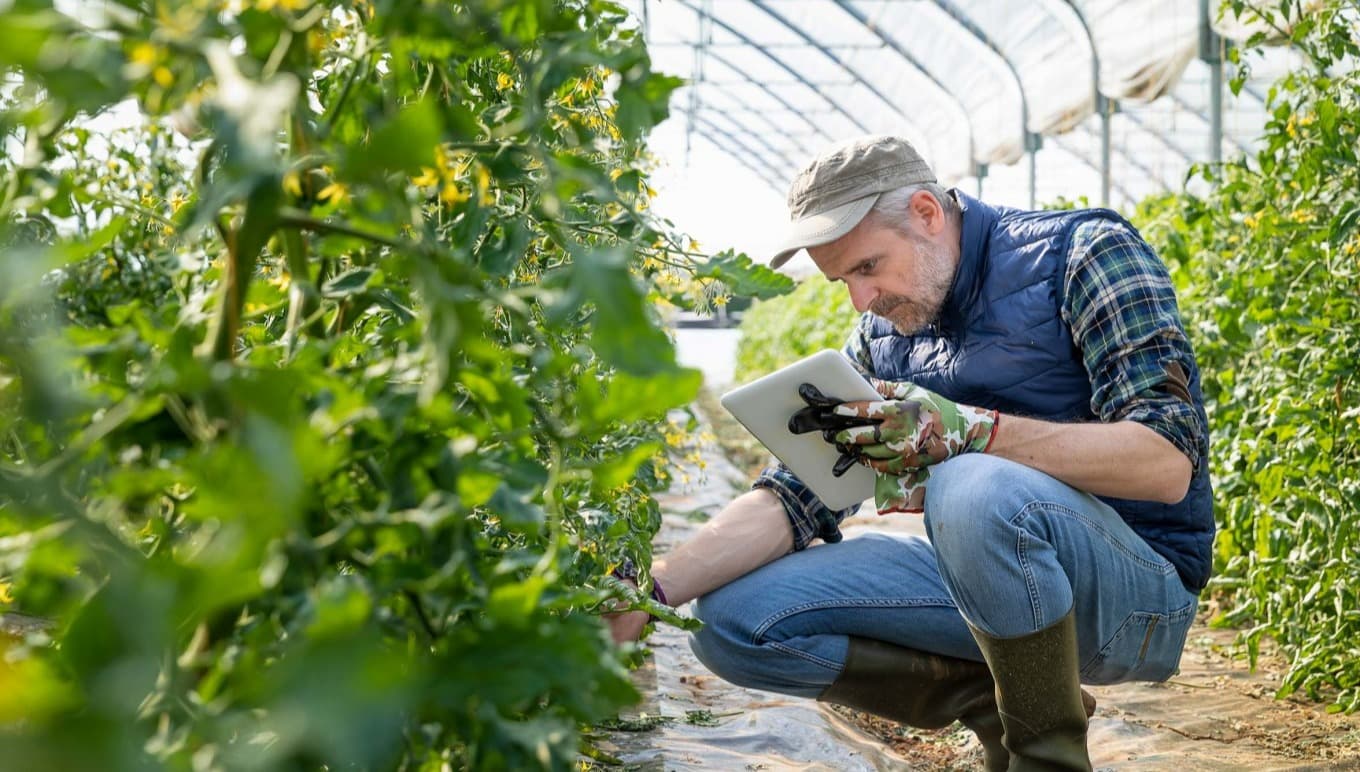 5 Wege für ein nachhaltiges Wachstum Ihres Lebensmittel- und Getränkeunternehmens