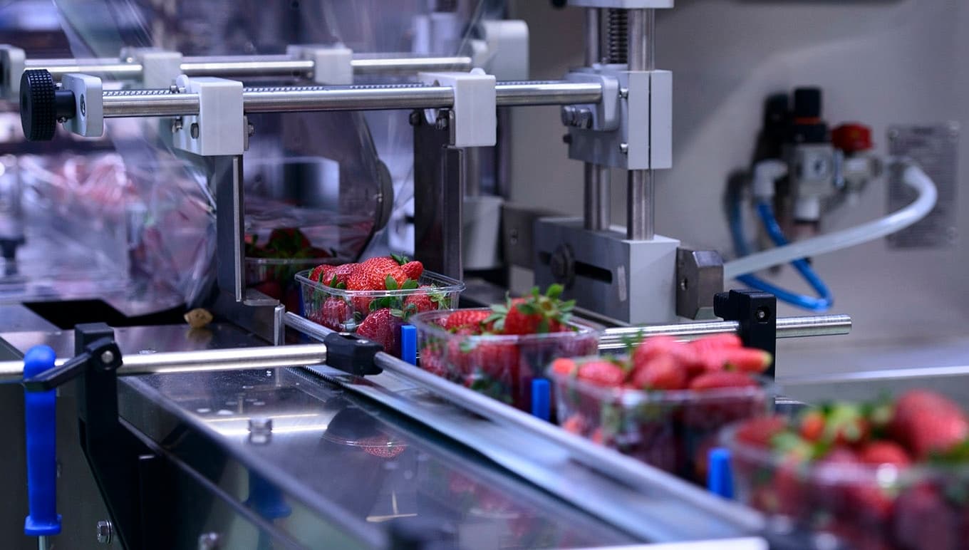 EU Packaging Regulations: What You Need To Know as EU Directive 94/62/EC Evolves